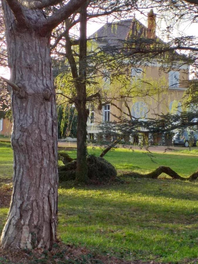 Domaine Berenguer Bed & Breakfast Ouches Bagian luar foto
