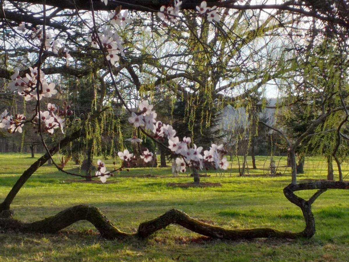 Domaine Berenguer Bed & Breakfast Ouches Bagian luar foto